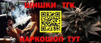 тгк Будённовск