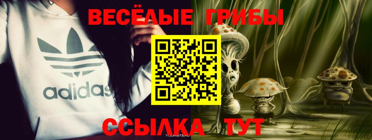Обь  Галлюциногенные грибы мицелий  Вход с VPN  Галлюциногенные грибы мухоморы 